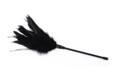 Перьевой тиклер — купить в Астана