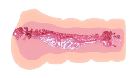 Мастурбатор с эффектом смазки от Crazy Bull — купить в Астана 7