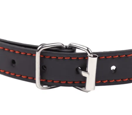 Кляп кость — купить в Астана 3