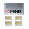 Превью Мужской возбудитель Big Penis, 1 шт — купить в Астана 3